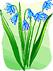 Miesiące